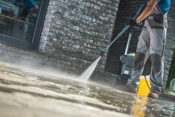 Animal Enclosure Cleaning in Fraser, MI